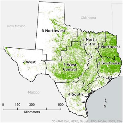 Modeling the impacts of hot drought on forests in Texas